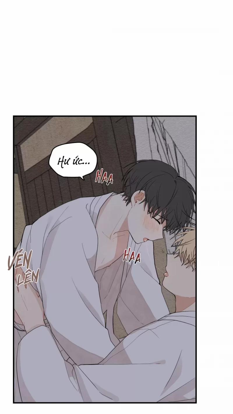 Dưới Tán Hoa Liên Kiều 12.5 trang 31