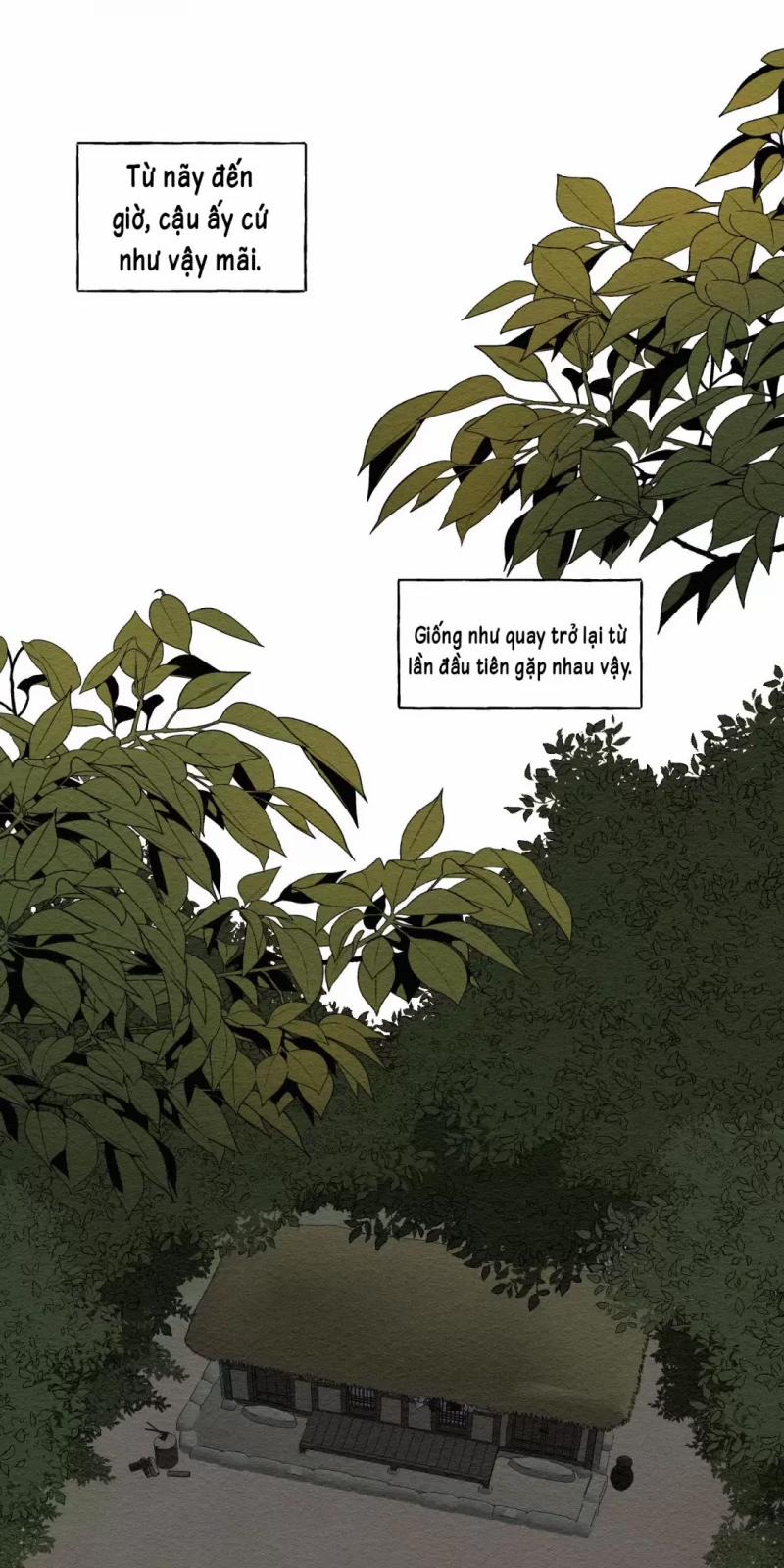 Dưới Tán Hoa Liên Kiều 12.5 trang 6