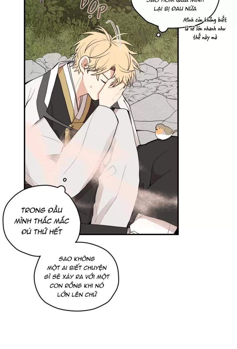 Dưới Tán Hoa Liên Kiều 12 trang 12