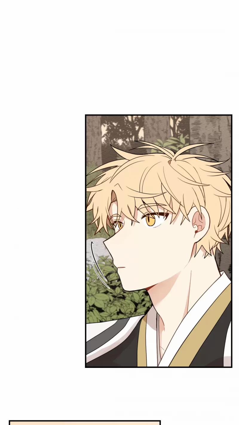 Dưới Tán Hoa Liên Kiều 12 trang 15