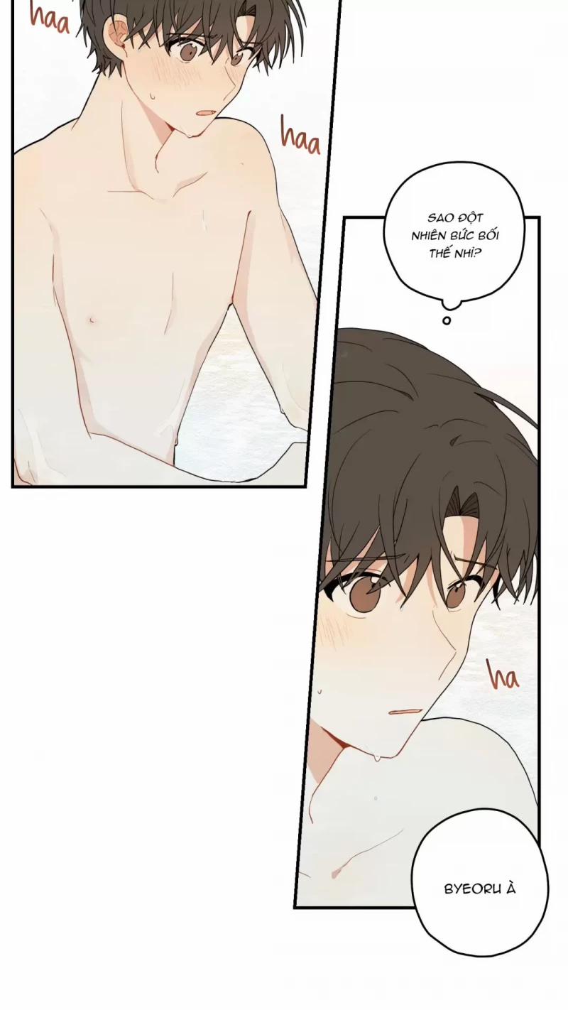 Dưới Tán Hoa Liên Kiều 12 trang 31