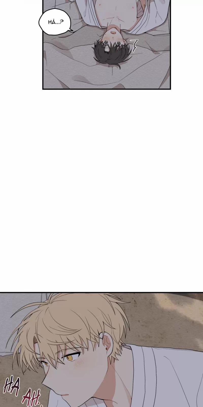 Dưới Tán Hoa Liên Kiều 14 trang 11