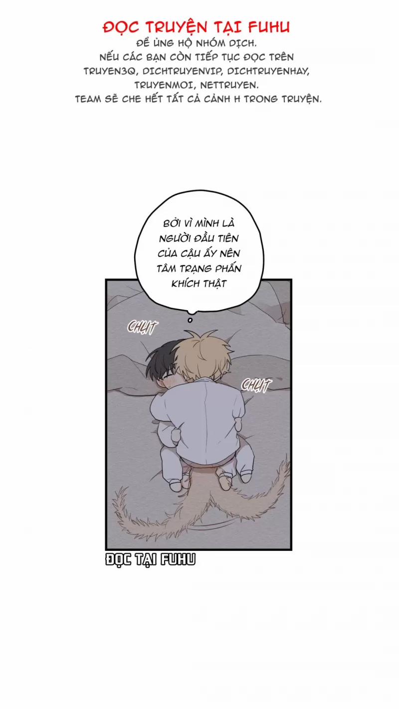 Dưới Tán Hoa Liên Kiều 14 trang 26