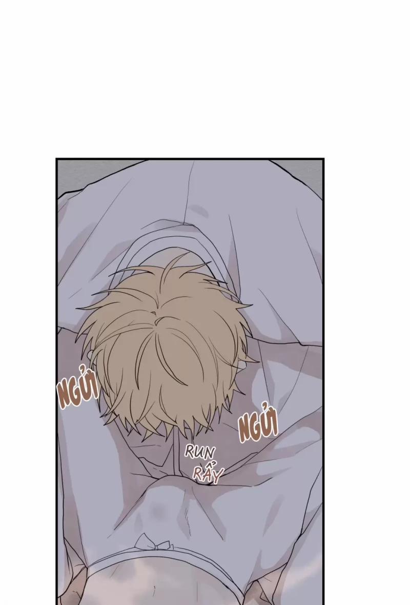 Dưới Tán Hoa Liên Kiều 14 trang 9