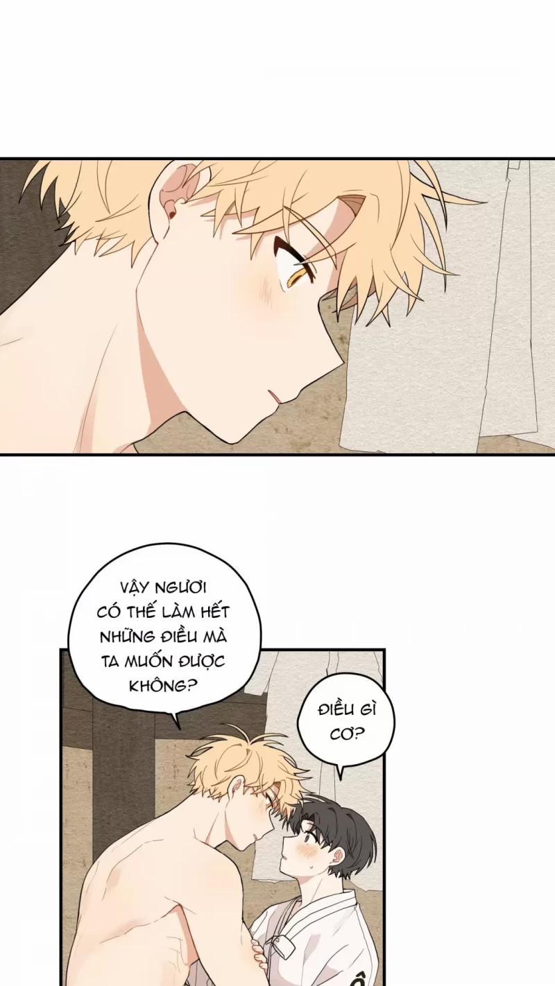 Dưới Tán Hoa Liên Kiều 15.5 trang 0