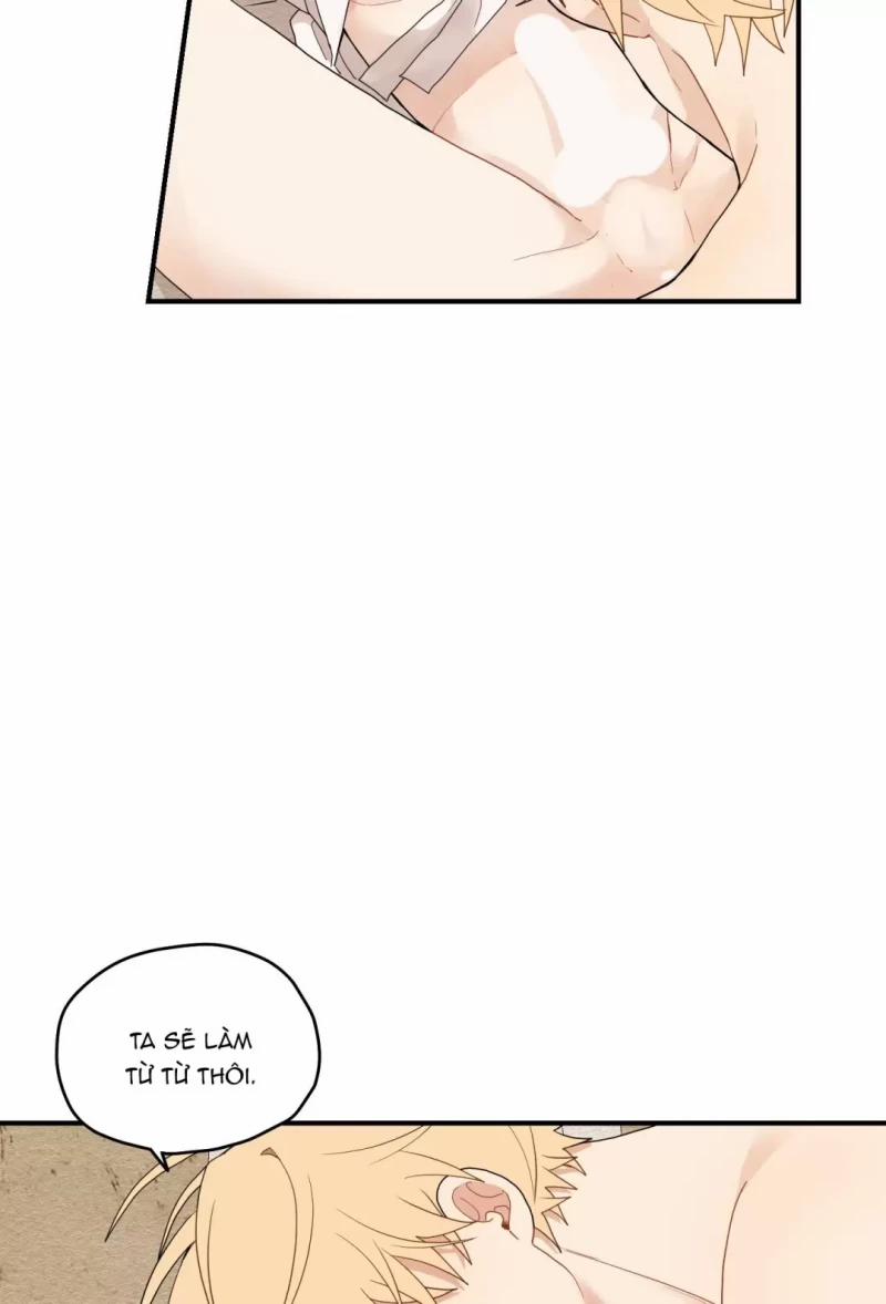 Dưới Tán Hoa Liên Kiều 15.5 trang 21