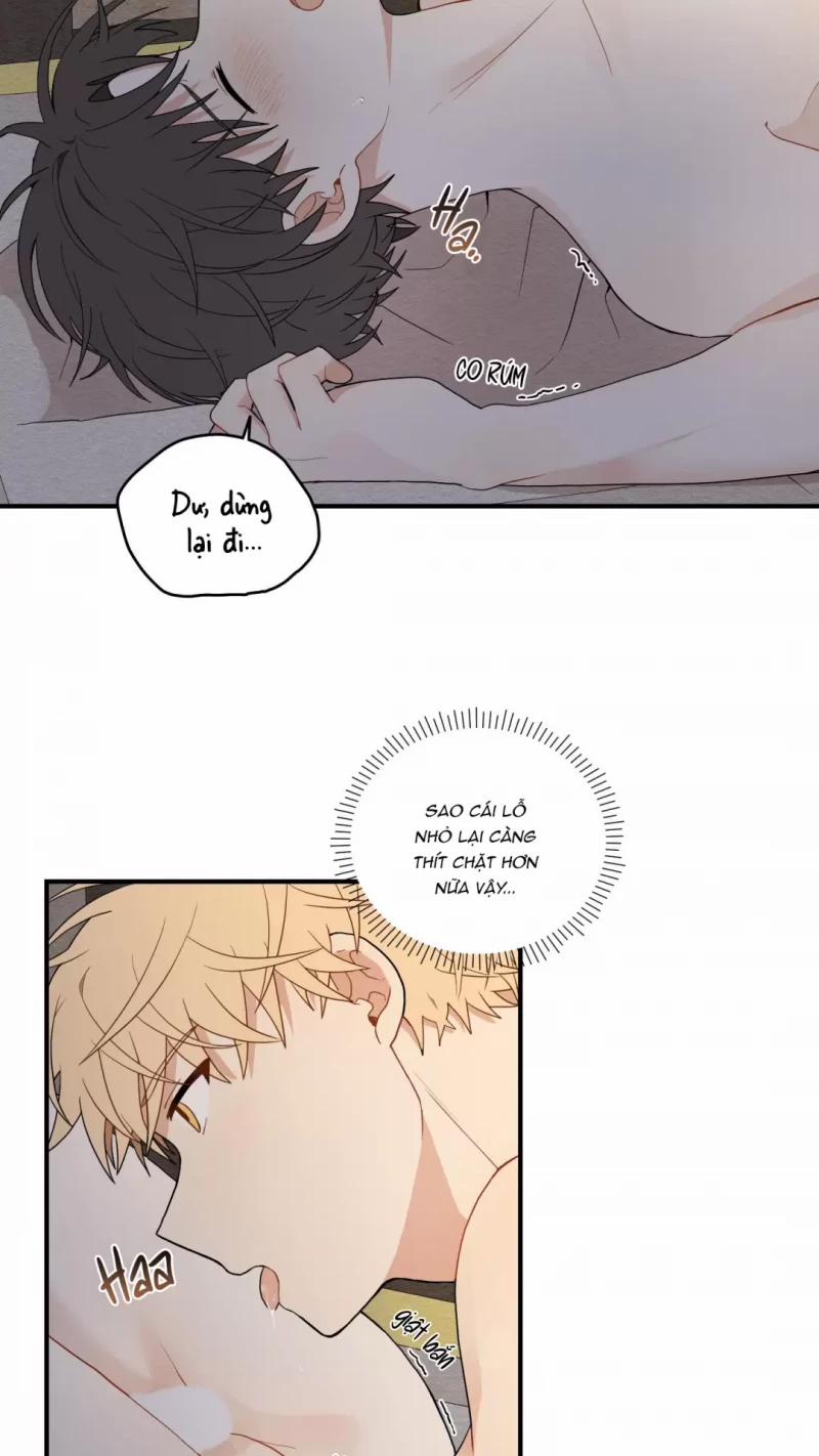 Dưới Tán Hoa Liên Kiều 15.5 trang 24