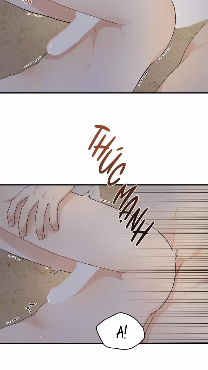 Dưới Tán Hoa Liên Kiều 15.5 trang 31