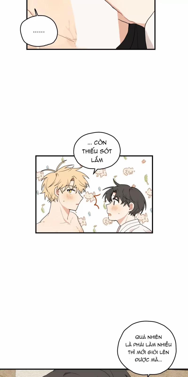 Dưới Tán Hoa Liên Kiều 15 trang 31