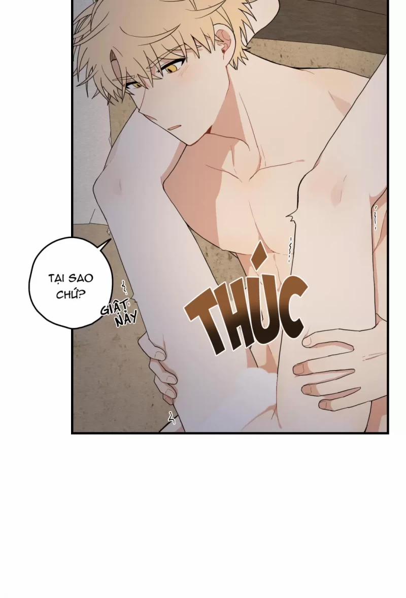 Dưới Tán Hoa Liên Kiều 16 trang 11