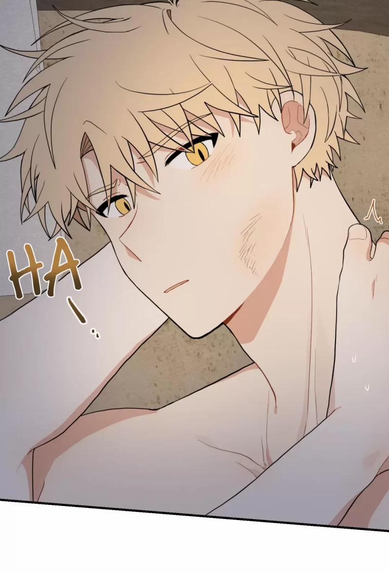 Dưới Tán Hoa Liên Kiều 16 trang 15