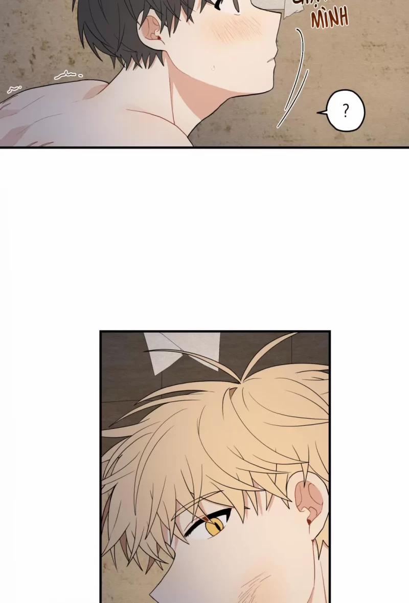 Dưới Tán Hoa Liên Kiều 16 trang 18