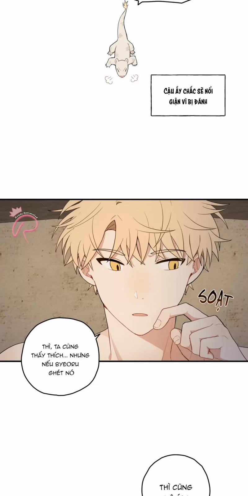 Dưới Tán Hoa Liên Kiều 16 trang 21