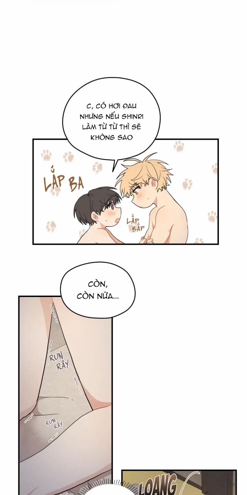 Dưới Tán Hoa Liên Kiều 16 trang 25