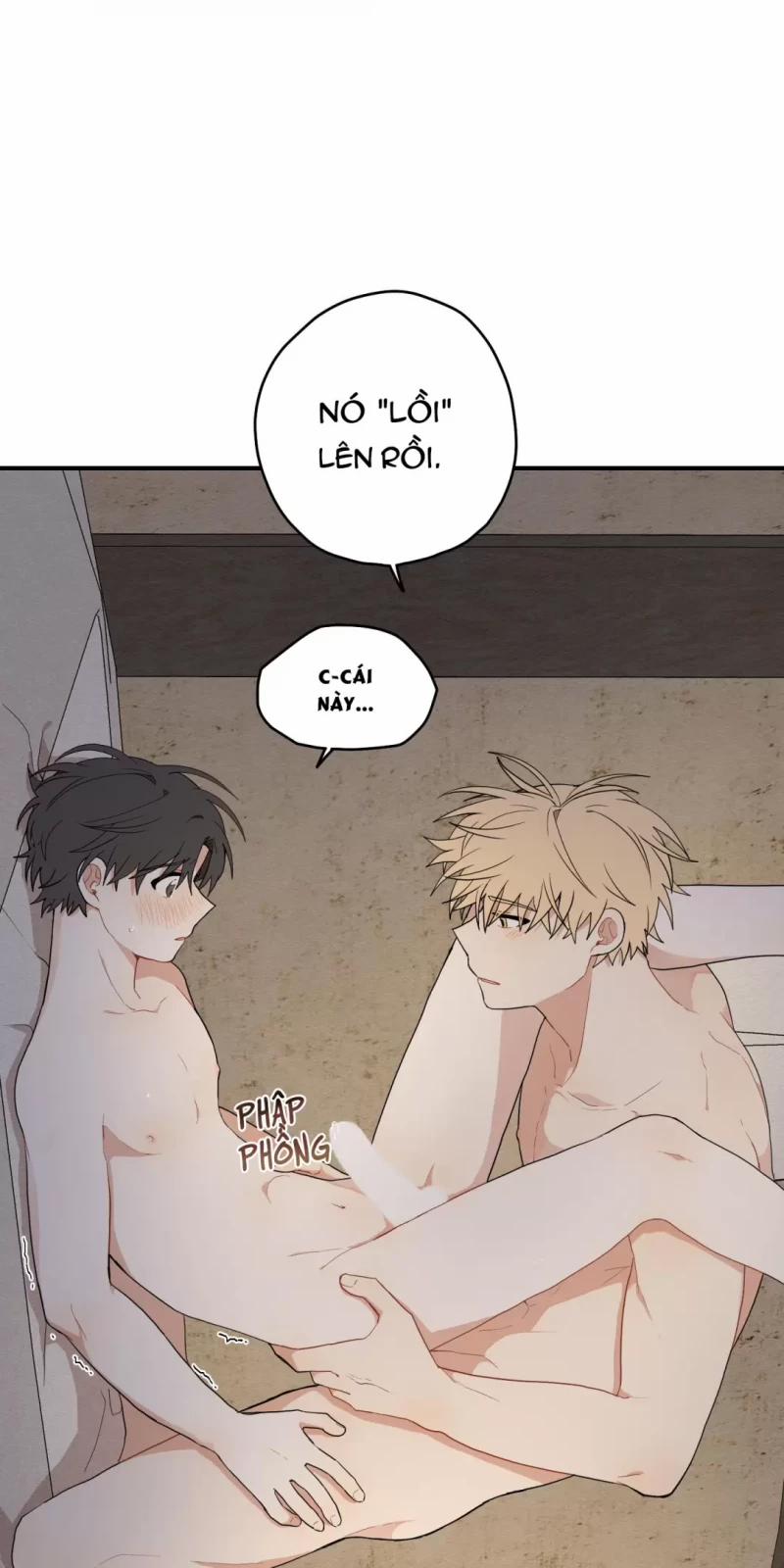 Dưới Tán Hoa Liên Kiều 16 trang 8