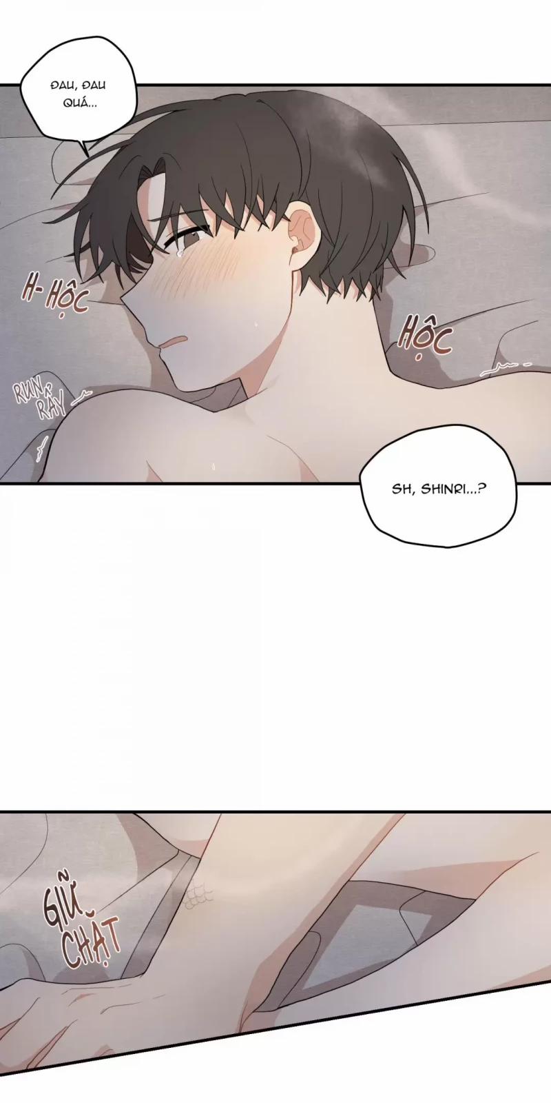 Dưới Tán Hoa Liên Kiều 17.5 trang 0