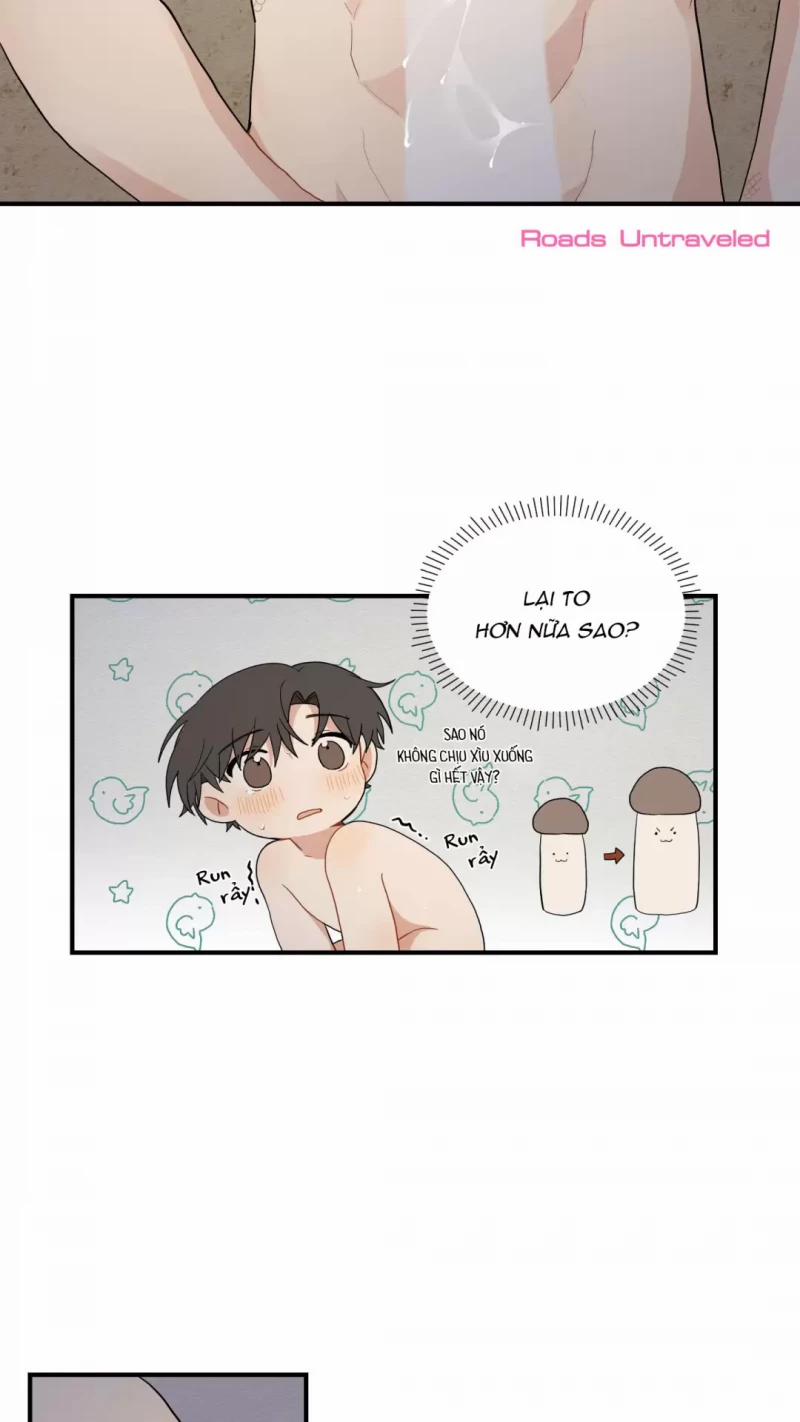 Dưới Tán Hoa Liên Kiều 17.5 trang 13