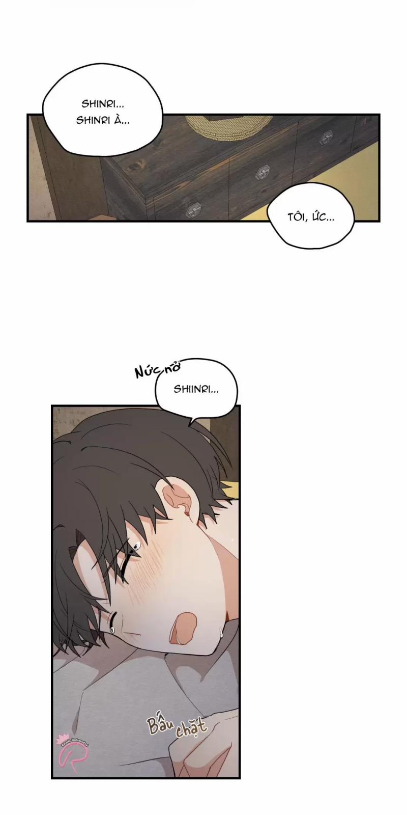 Dưới Tán Hoa Liên Kiều 17.5 trang 4