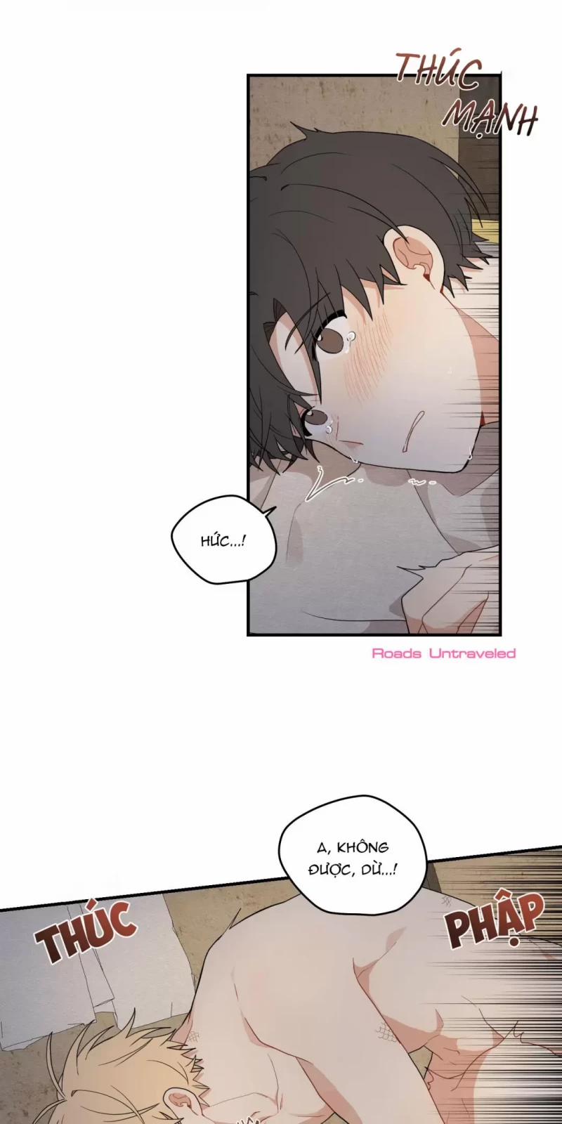 Dưới Tán Hoa Liên Kiều 17.5 trang 5