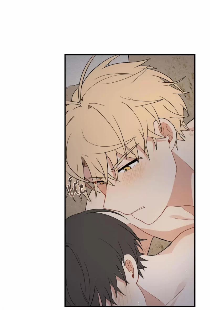 Dưới Tán Hoa Liên Kiều 17.5 trang 7