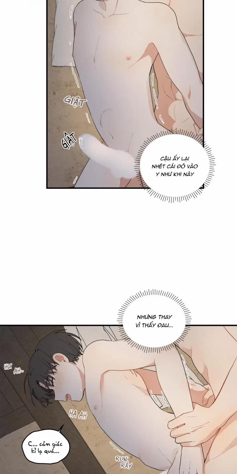 Dưới Tán Hoa Liên Kiều 17 trang 1