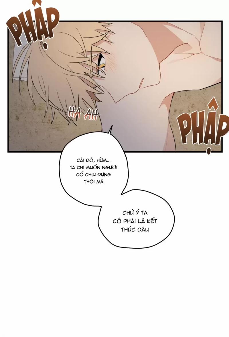 Dưới Tán Hoa Liên Kiều 17 trang 11