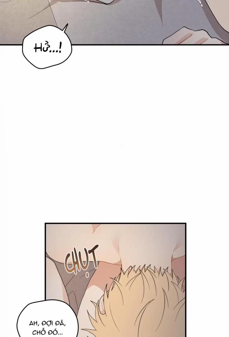 Dưới Tán Hoa Liên Kiều 17 trang 14