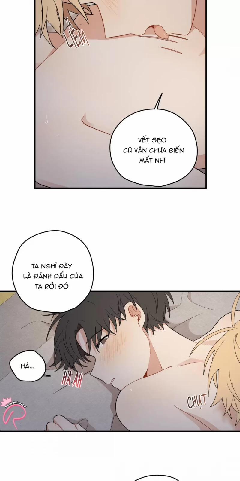 Dưới Tán Hoa Liên Kiều 17 trang 17