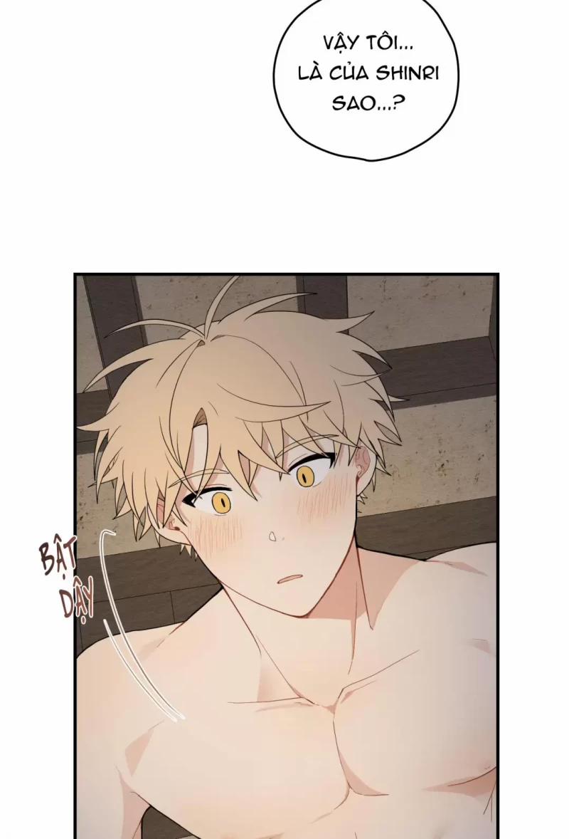 Dưới Tán Hoa Liên Kiều 17 trang 18