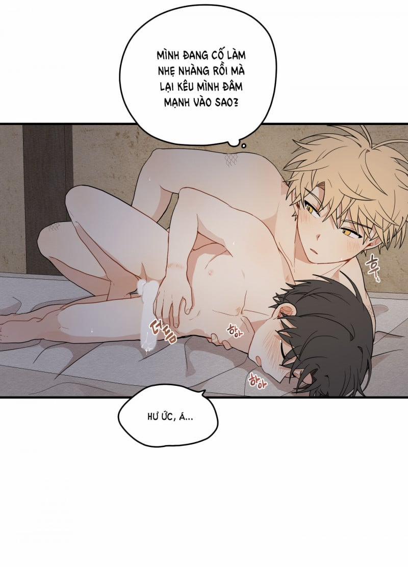 Dưới Tán Hoa Liên Kiều 18.5 trang 12