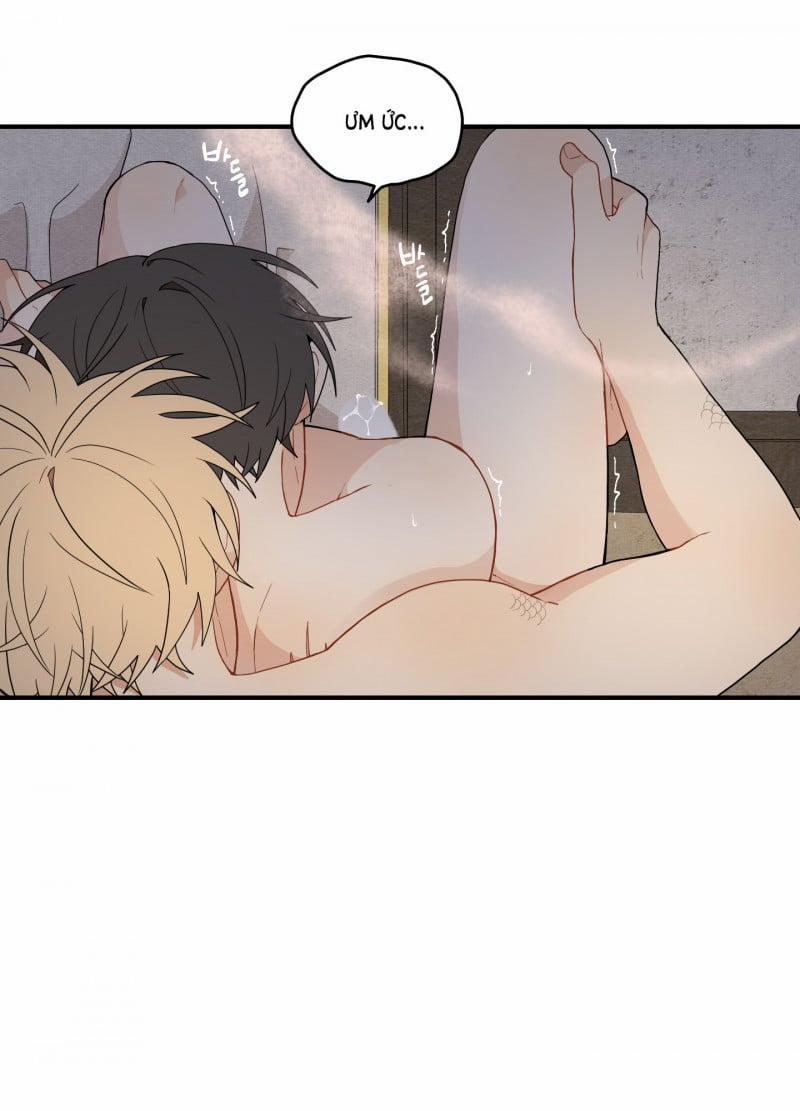 Dưới Tán Hoa Liên Kiều 18.5 trang 2