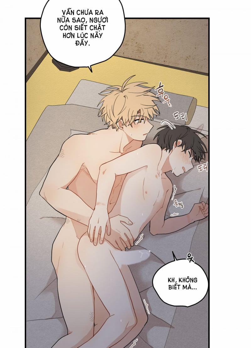 Dưới Tán Hoa Liên Kiều 18.5 trang 23