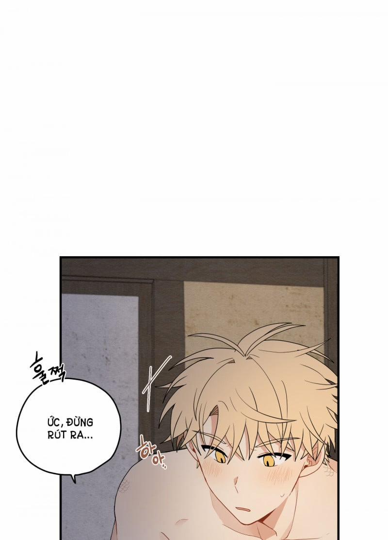 Dưới Tán Hoa Liên Kiều 18.5 trang 25