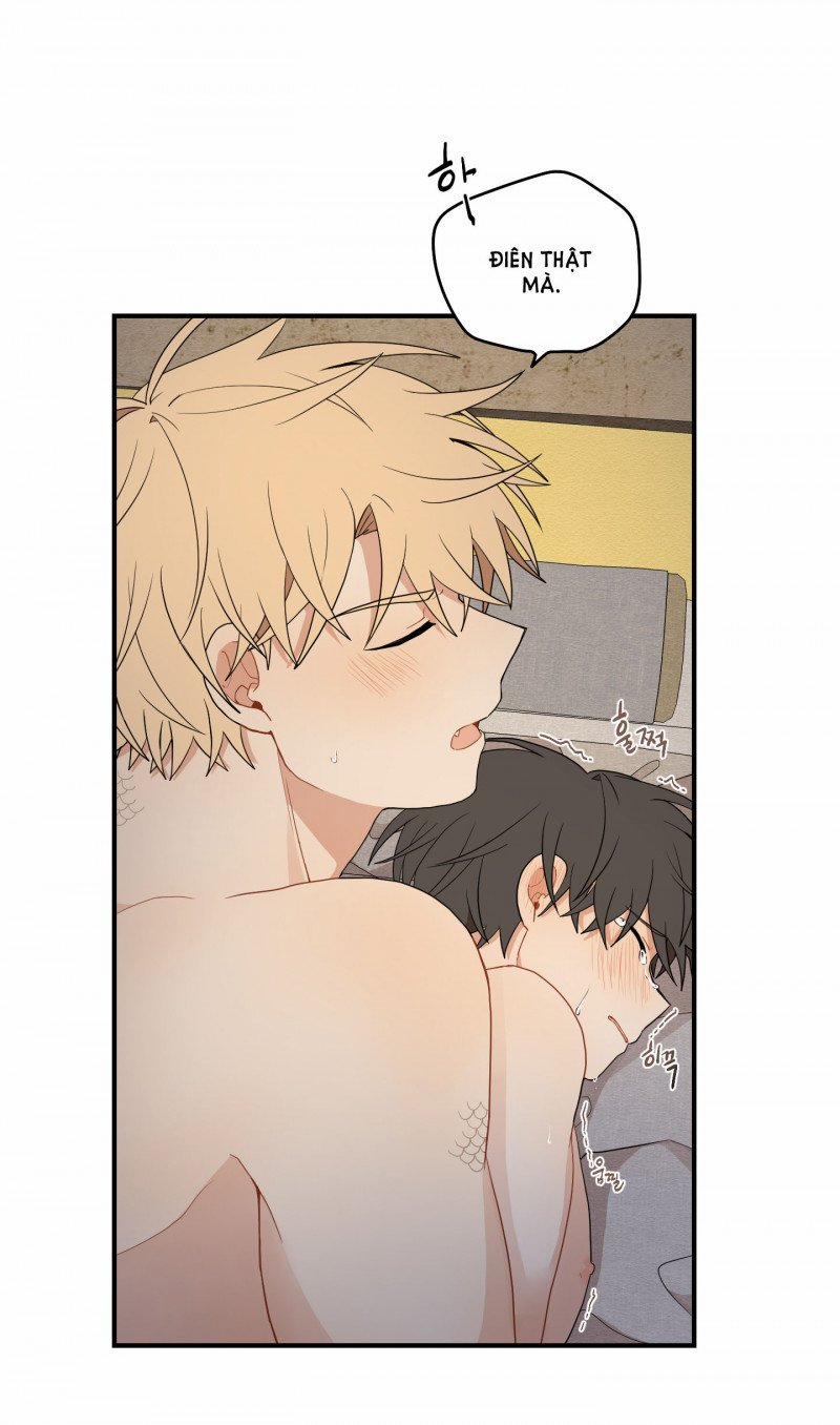 Dưới Tán Hoa Liên Kiều 18.5 trang 28