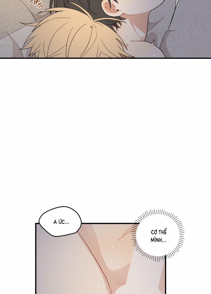 Dưới Tán Hoa Liên Kiều 18.5 trang 5