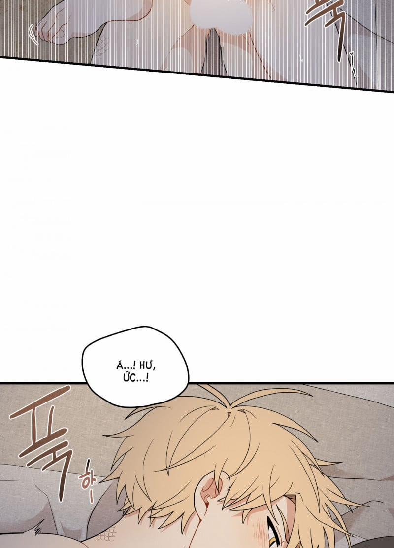 Dưới Tán Hoa Liên Kiều 18.5 trang 8