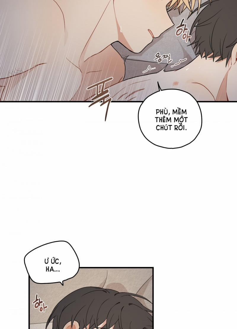 Dưới Tán Hoa Liên Kiều 18.5 trang 9