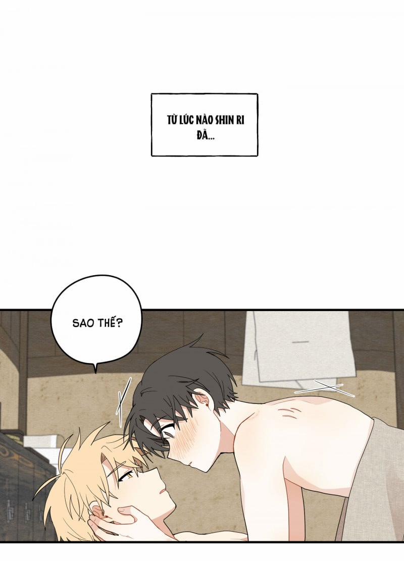 Dưới Tán Hoa Liên Kiều 19.5 trang 0