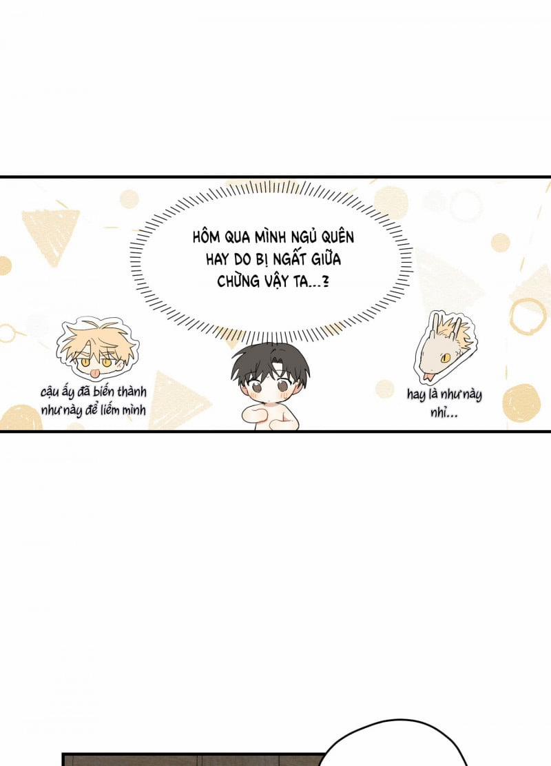 Dưới Tán Hoa Liên Kiều 19.5 trang 11