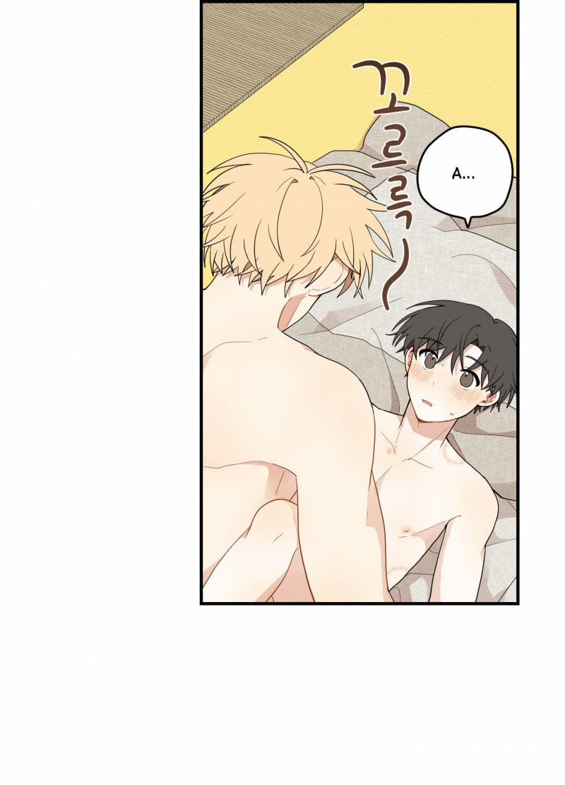 Dưới Tán Hoa Liên Kiều 19.5 trang 13