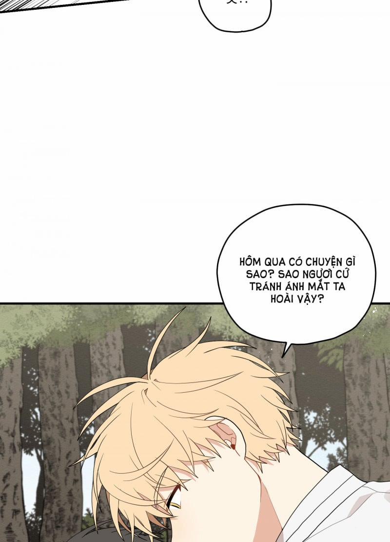 Dưới Tán Hoa Liên Kiều 19.5 trang 33