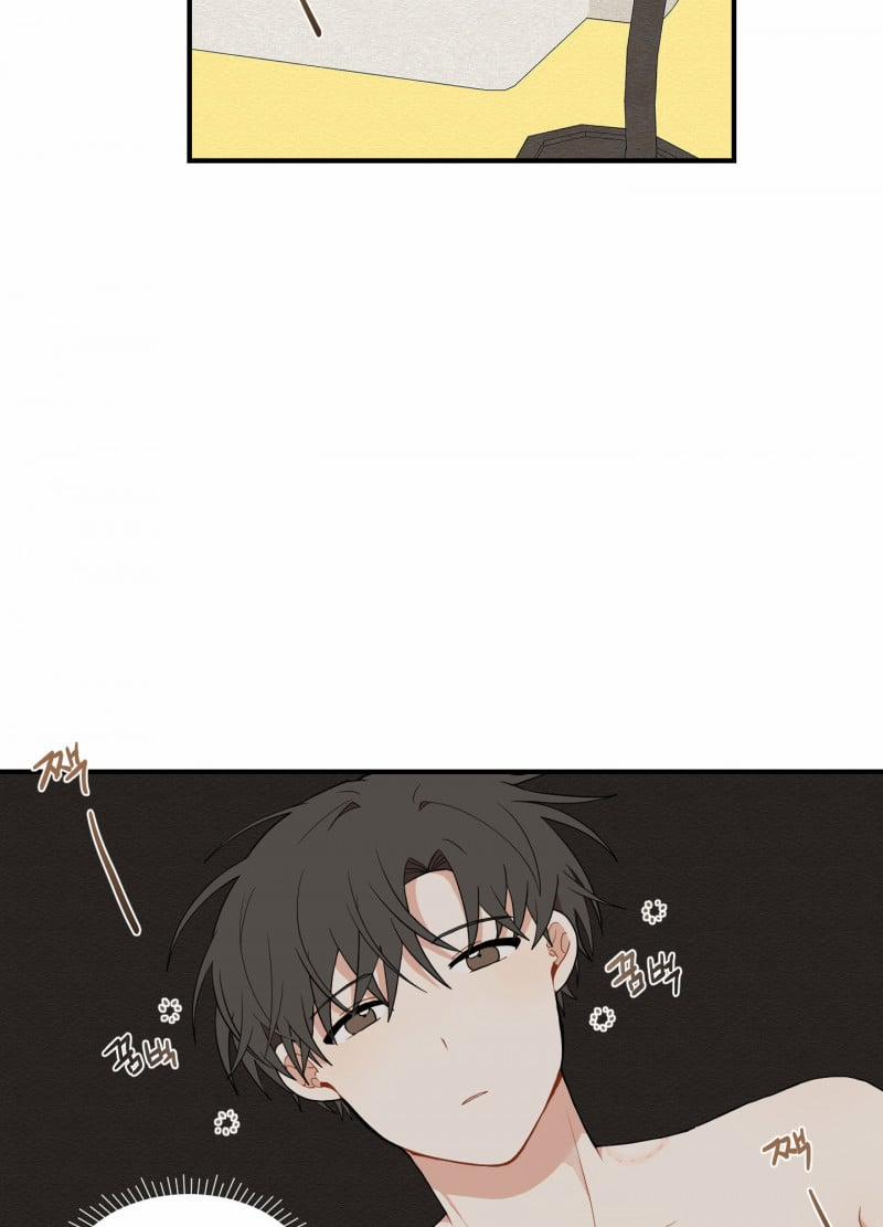 Dưới Tán Hoa Liên Kiều 19 trang 1