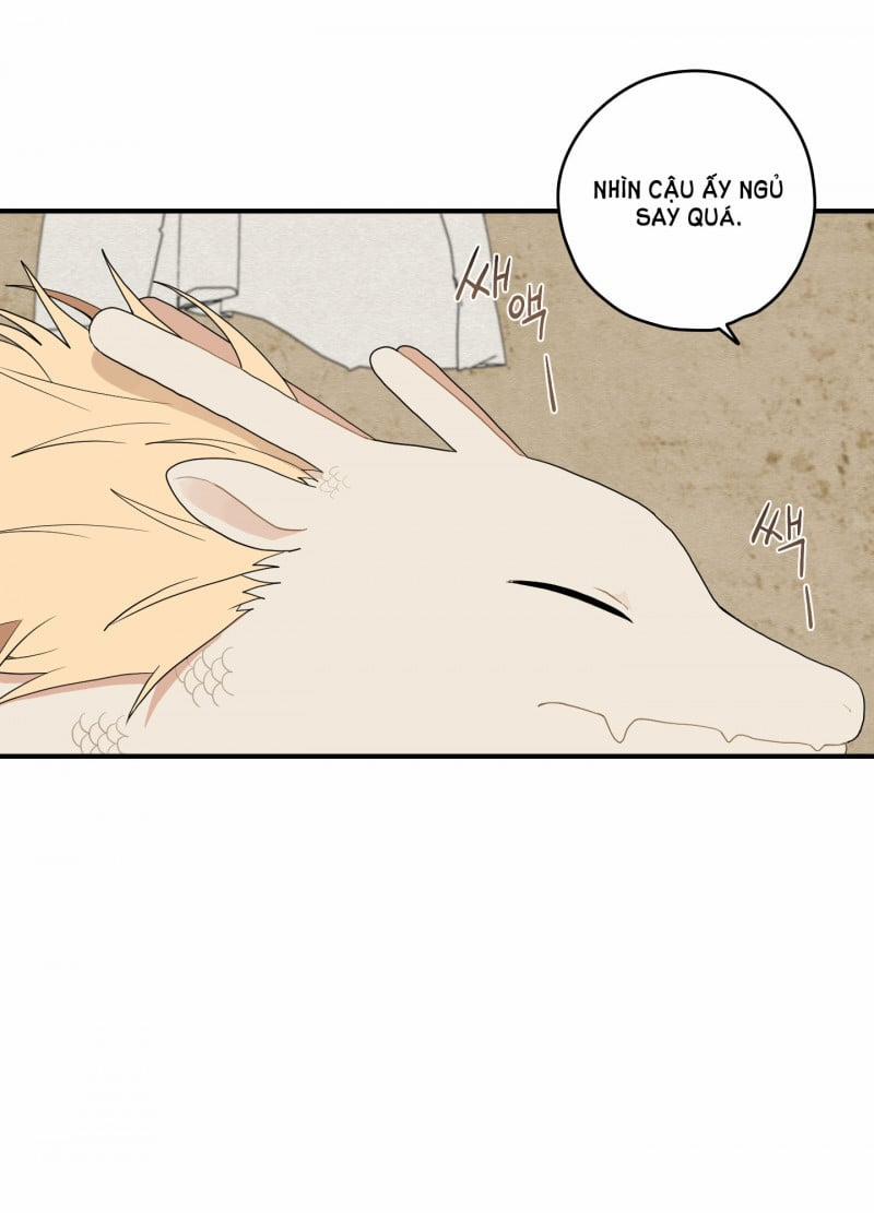 Dưới Tán Hoa Liên Kiều 19 trang 15