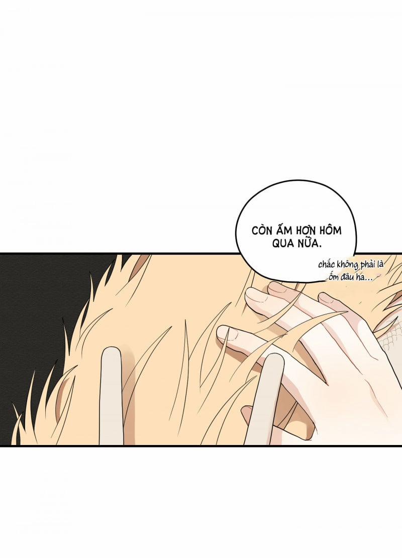 Dưới Tán Hoa Liên Kiều 19 trang 17