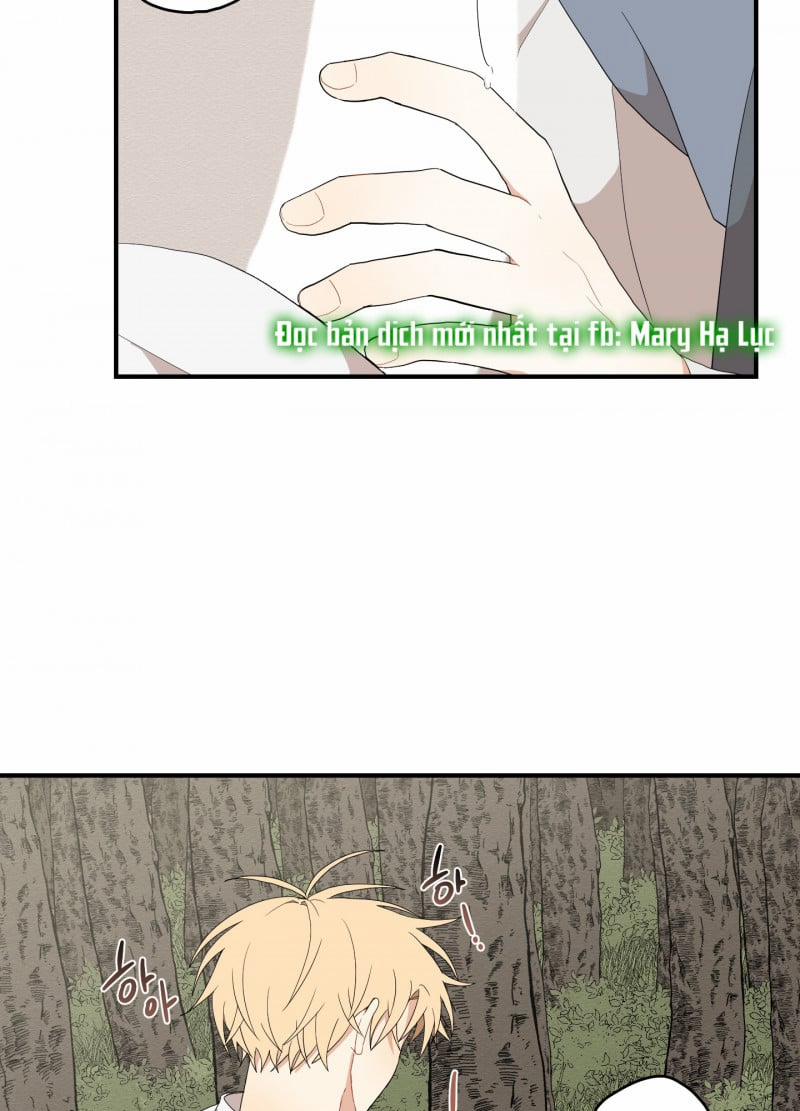 Dưới Tán Hoa Liên Kiều 20.5 trang 26