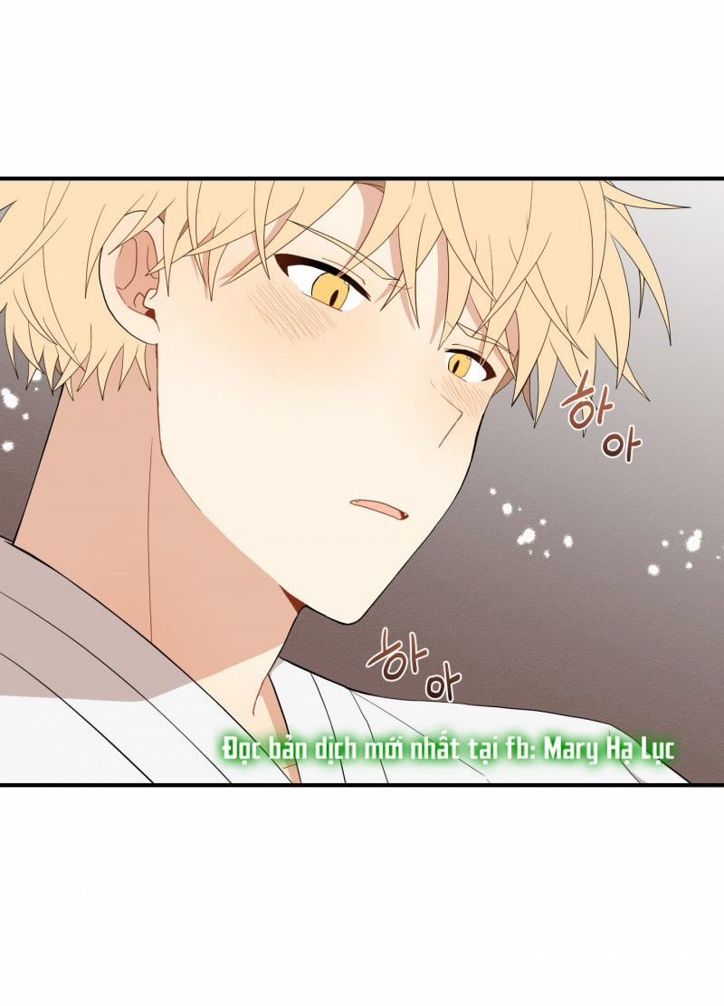 Dưới Tán Hoa Liên Kiều 20.5 trang 33