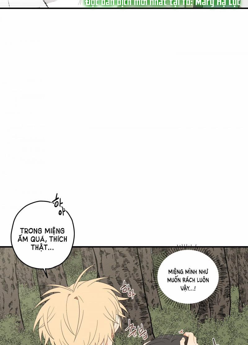 Dưới Tán Hoa Liên Kiều 20.5 trang 37