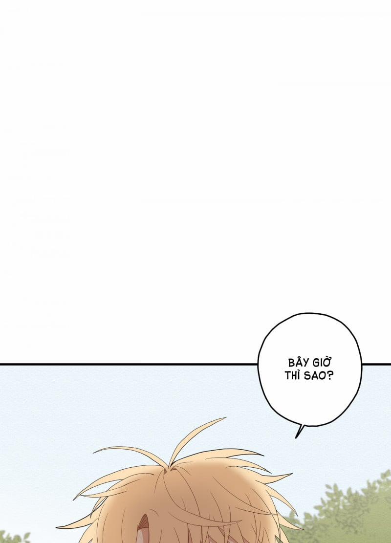 Dưới Tán Hoa Liên Kiều 20 trang 18