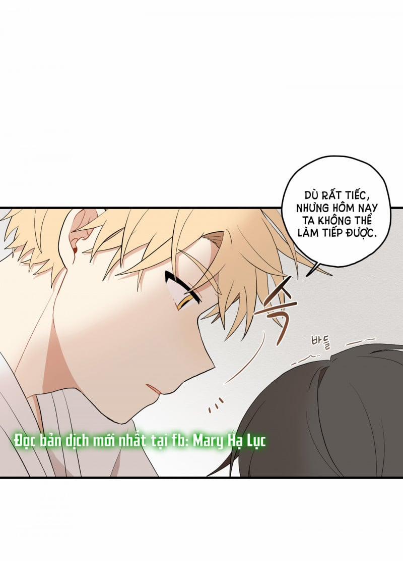 Dưới Tán Hoa Liên Kiều 20 trang 29