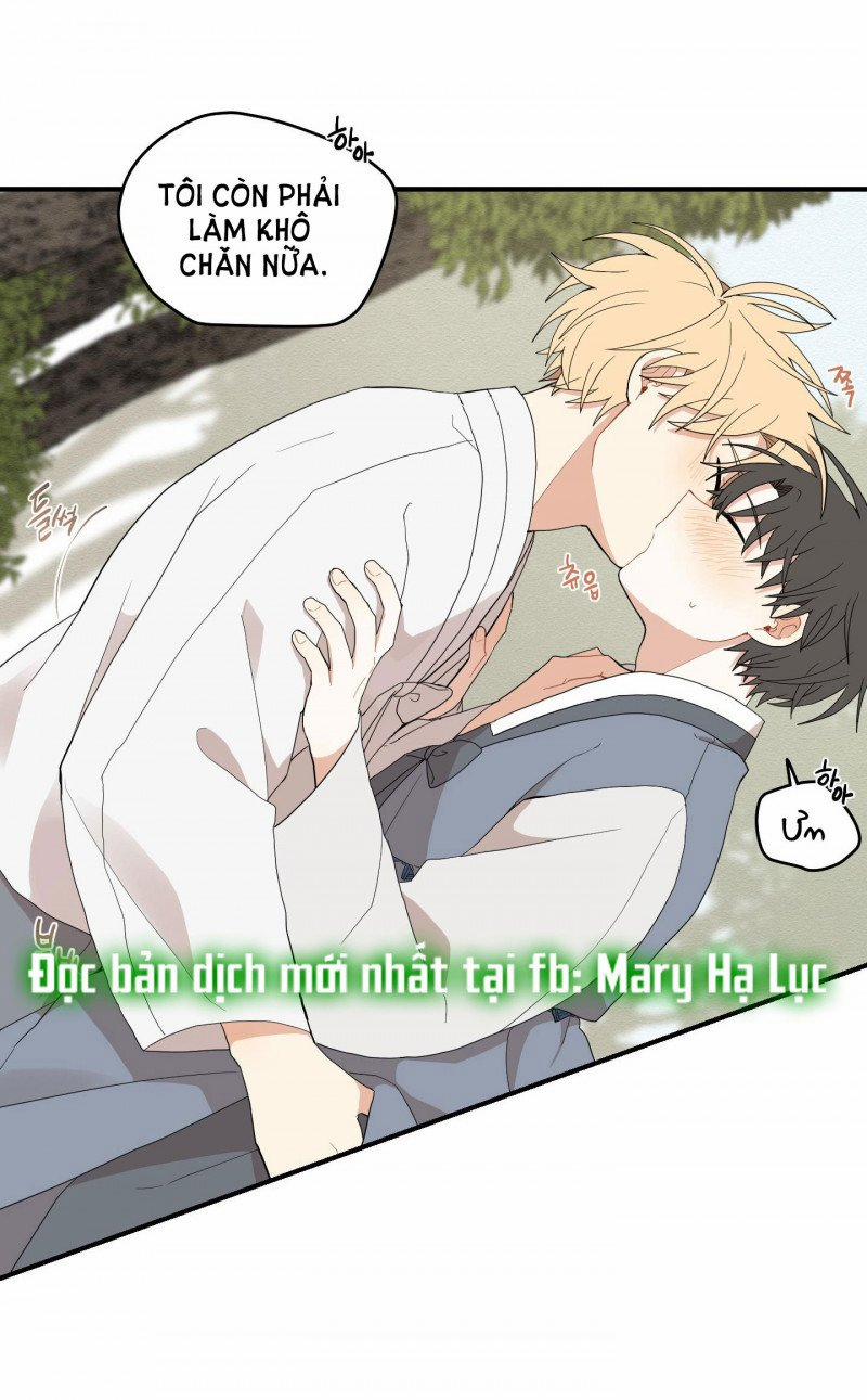 Dưới Tán Hoa Liên Kiều 21.5 trang 0